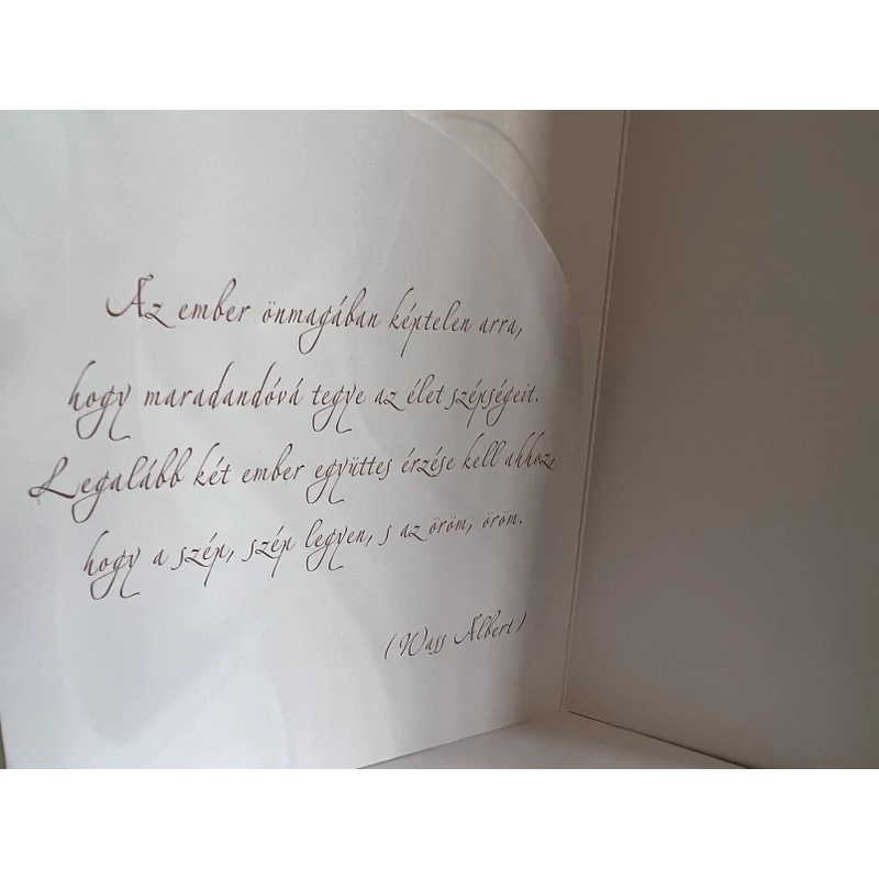 Esküvői boríték - Az ifjú párnak